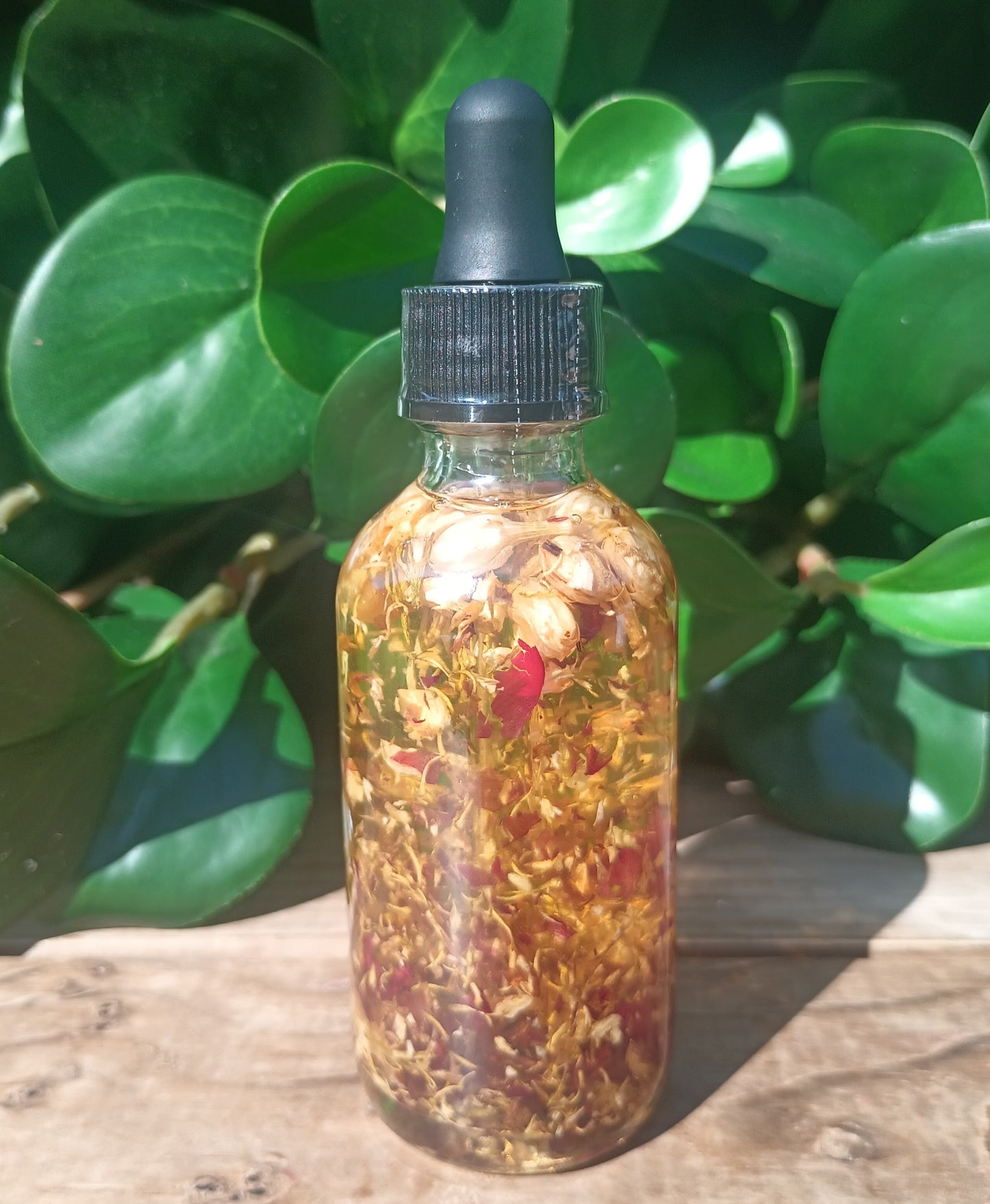 Botanical Renewal Oil